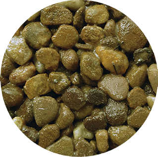 Brittany Bronze Tree Pit
